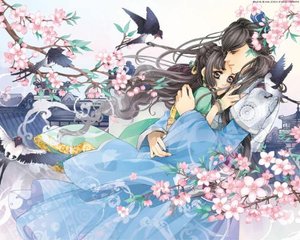 小草回家永不迷路